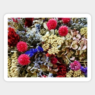 Assortment of Dried Flowers Sticker